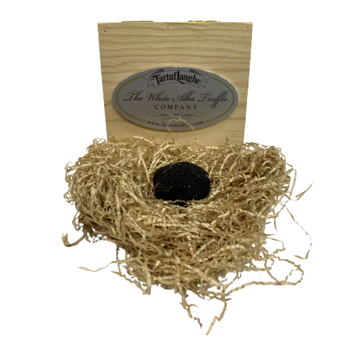 [CJ-0844] Trufa Fresca Negra Melanosporum 25 G